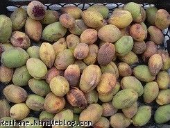 لوز