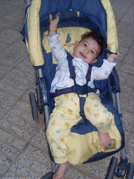 ریحان عسلی