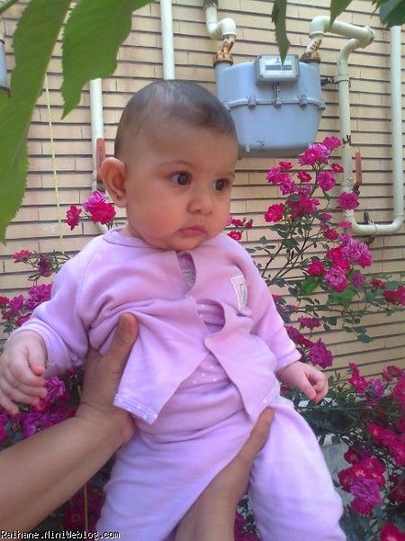 ریحان عسلی