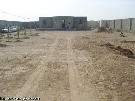 باغ پدر جونی