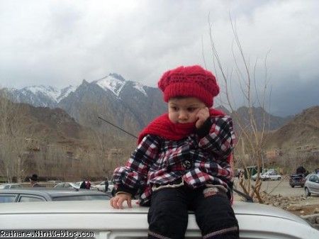 ریحان عسلی متفکر