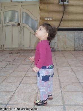 ریحان عسلی