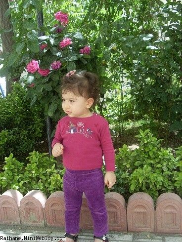 ریحان عسلی 