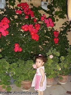 ریحان عسلی 