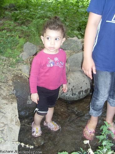 ریحان عسلی
