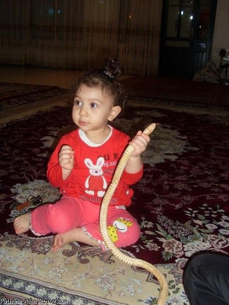 ریحان عسلی