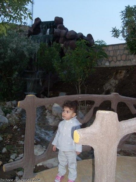 ریحان عسلی