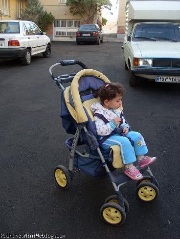ریحان عسلی 