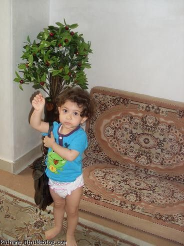 ریحان عسلی 