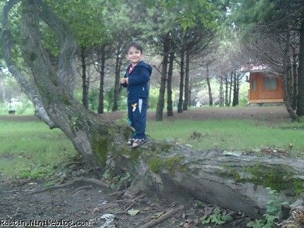 ساحل قرورق