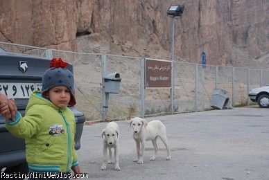 نقش رستم-مرودشت
