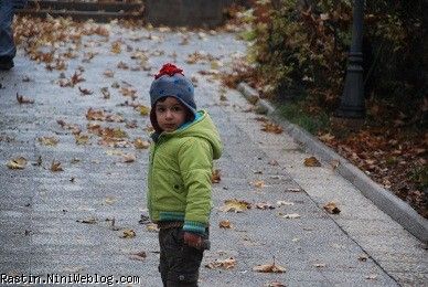 هتل آپادانای تخت جمشید