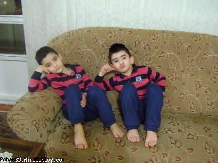 آريا--------ارسطو