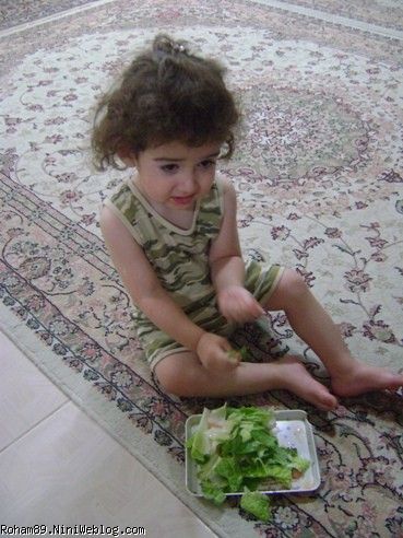 الهي فدات شم