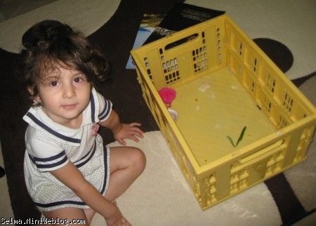 مهمون ناخونده مهمون ناخونده
