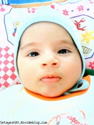 گلم ستایش