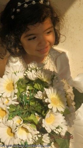 ستیا