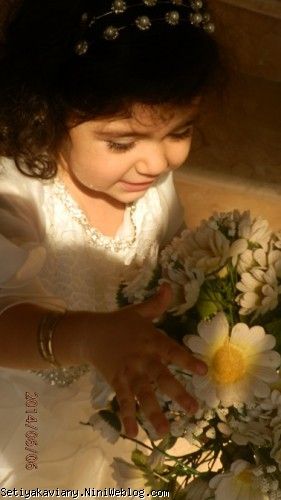 ستیا
