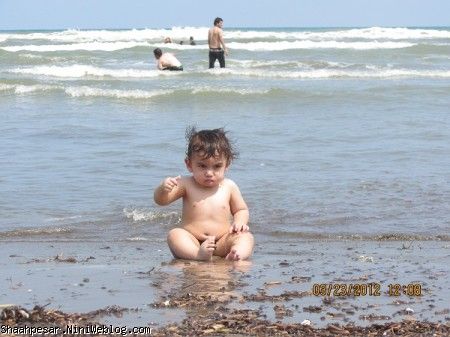 بردیا و سواحل دریای خزر