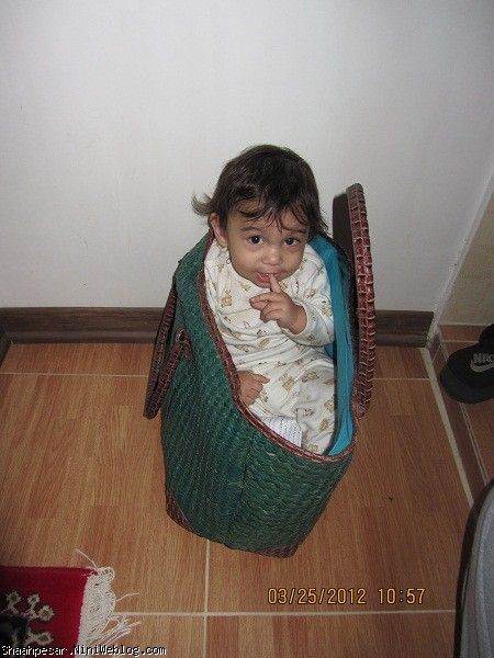 بردیا آماده مسافرت