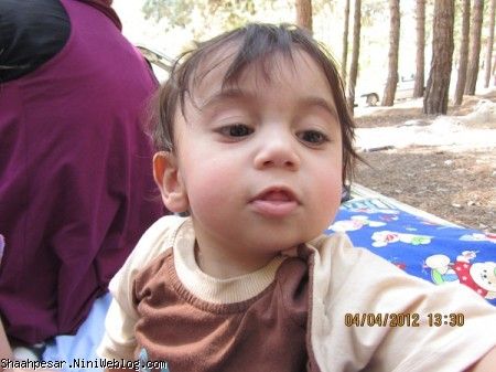 بردیا در پارک جنگلی لویزان