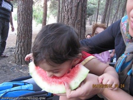 بردیا هندونه دوست داره