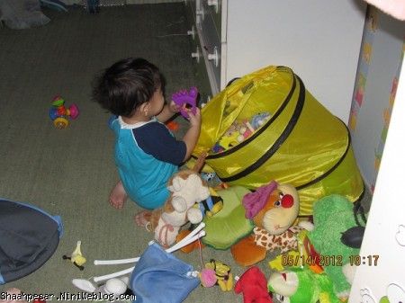 هرروز منه بیچاره باید اتاق شمارو جمع و جور کنم