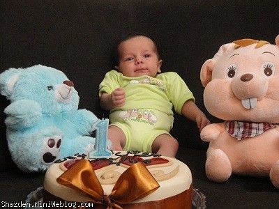 روشا در هشت ماه گذشته