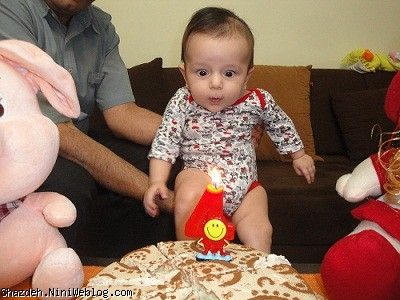 روشا در هشت ماه گذشته