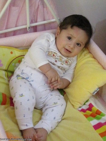 6 ماهگی