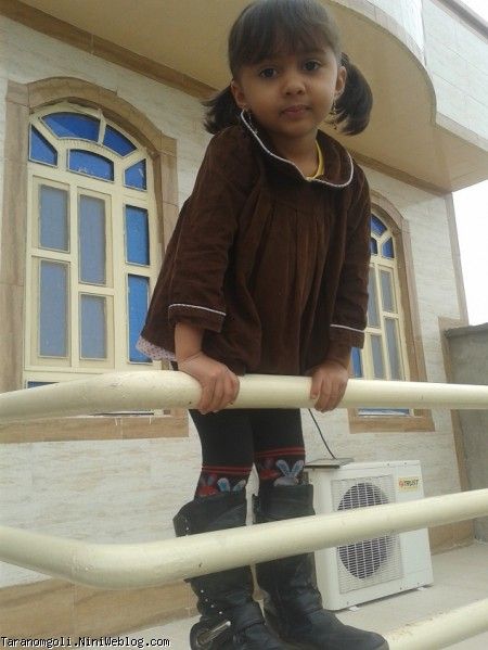 حیاط خونه
