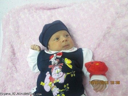 نوزادی ویانا