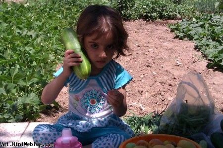 با خیارت میخواهی عکس بگیری