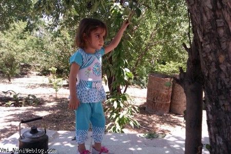 ژستش را ببین