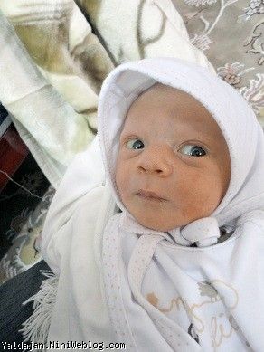روزچهارم 91.10.6