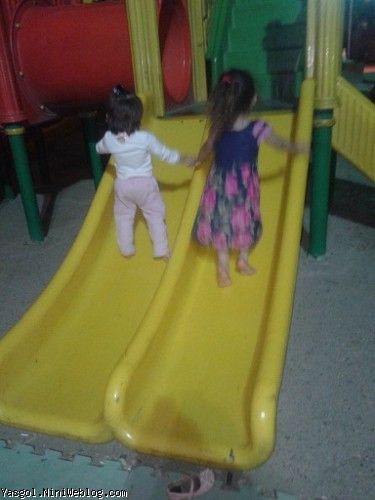 یاسی