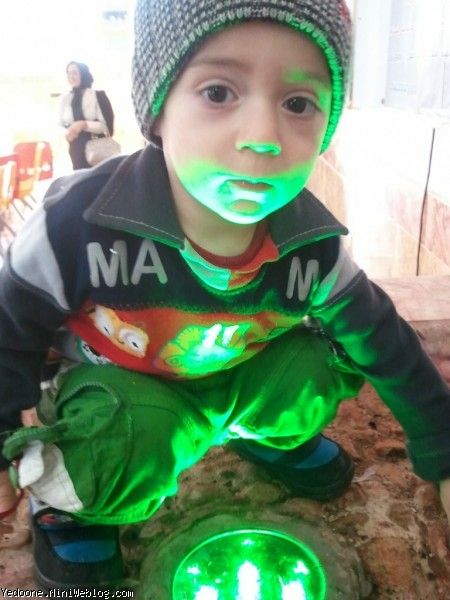20 ماهگی