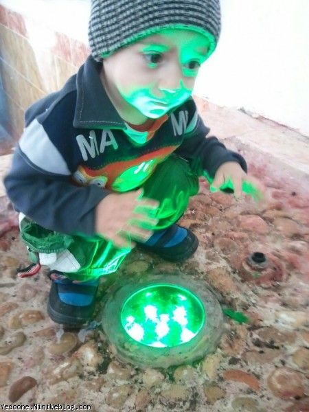 20 ماهگی
