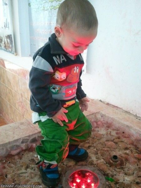 20 ماهگی