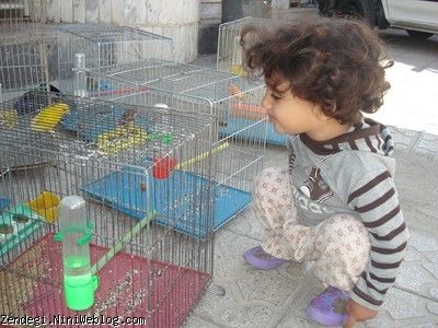 پانزدهم مهرماه نود