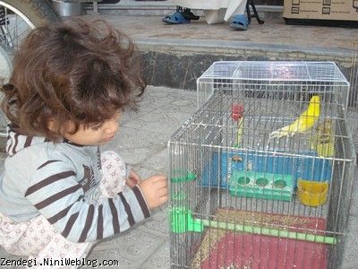 پانزدهم مهرماه نود