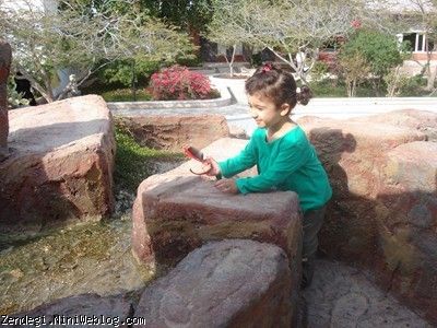 دوازدهم بهمن ماه نود
