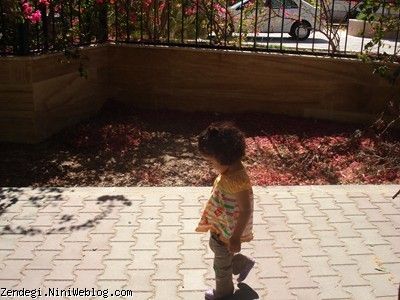 پانزدهم بهمن ماه نود