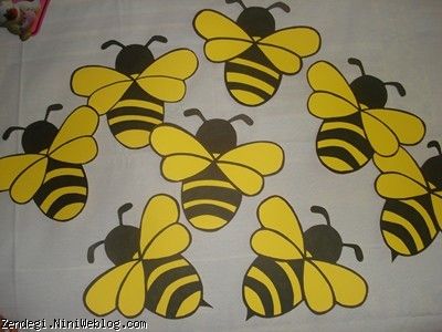 زنبورهای دیوار