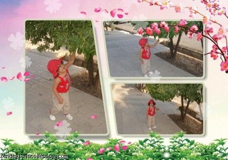 نازنینم روزت مبارک
