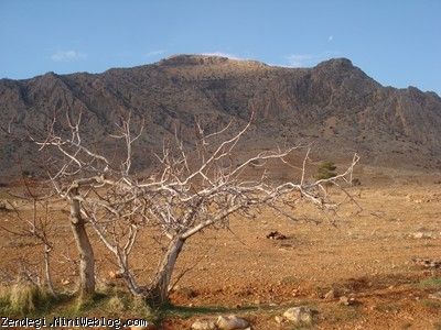 چهاردهم دیماه سال نود و یک