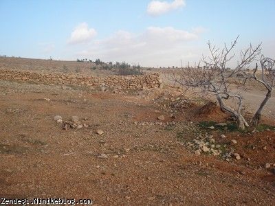 چهاردهم دیماه سال نود و یک