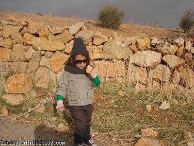 چهاردهم دیماه سال نود و یک