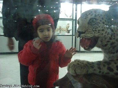 نیکا در موزه