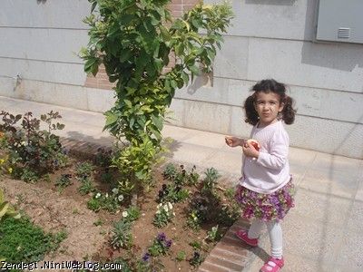 یکم فروردین سال نود و دو